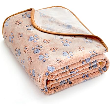 pawz blanket