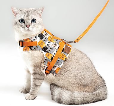Ka   nleyici Kedi Gezdirme Tasmas  Ve K k Irk K pek Gezdirme Tasmas  S, Turuncu Kedi Desenli