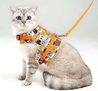 Kaçış Önleyici Kedi Gezdirme Tasması Ve Küçük Irk 