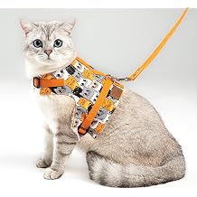 Ka   nleyici Kedi Gezdirme Tasmas  Ve K k Irk K pek Gezdirme Tasmas  L, Turuncu Kedi Desenli