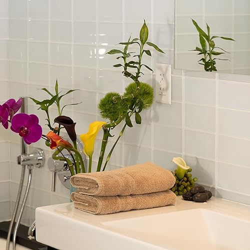 Miniatura 2 de Juego de 2 toallas de mano de lujo de 700 GSM, 16 x 30 pulgadas, color gris pardo claro, toallas de mano turcas, viscosa hecha de bambú, algodón