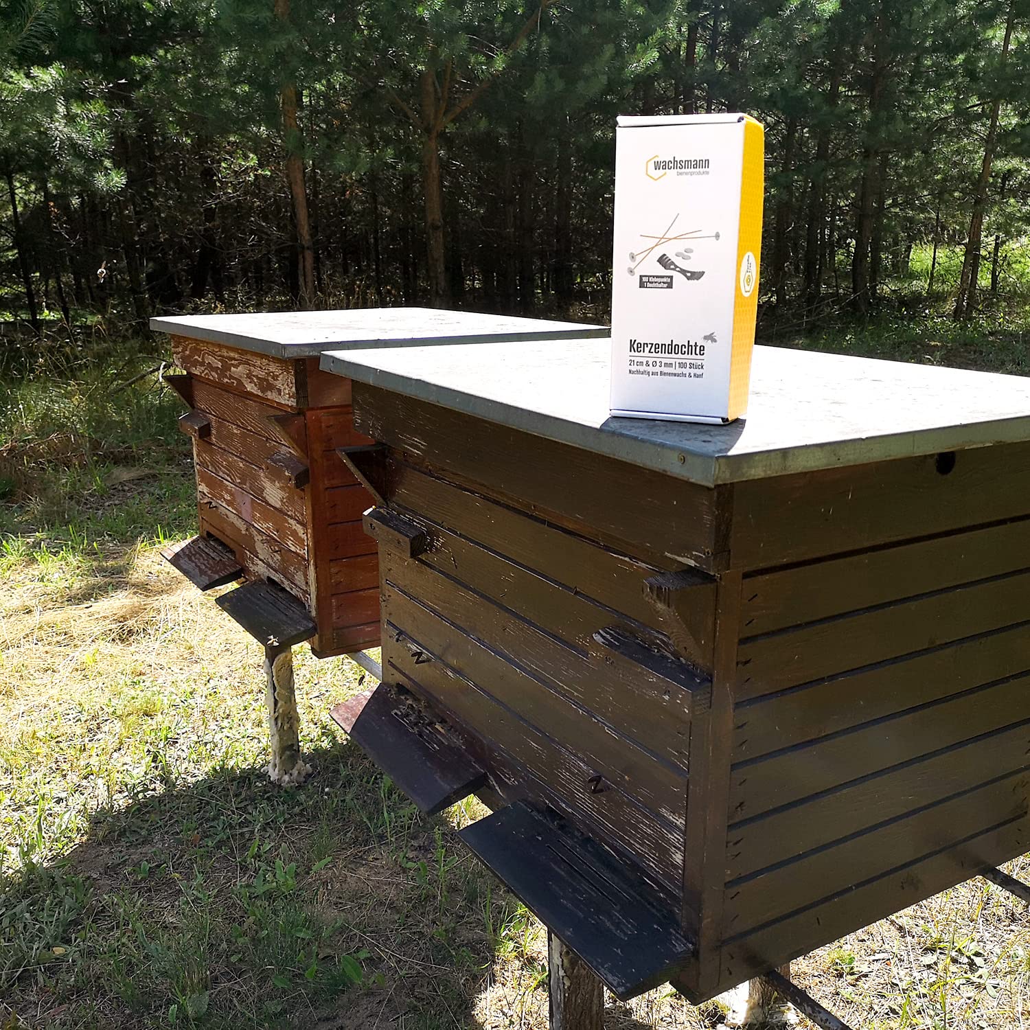 Lot De 100 Mèches De Bougies En Chanvre Et Cire D'Abeille Naturelle - 10cm Avec Support