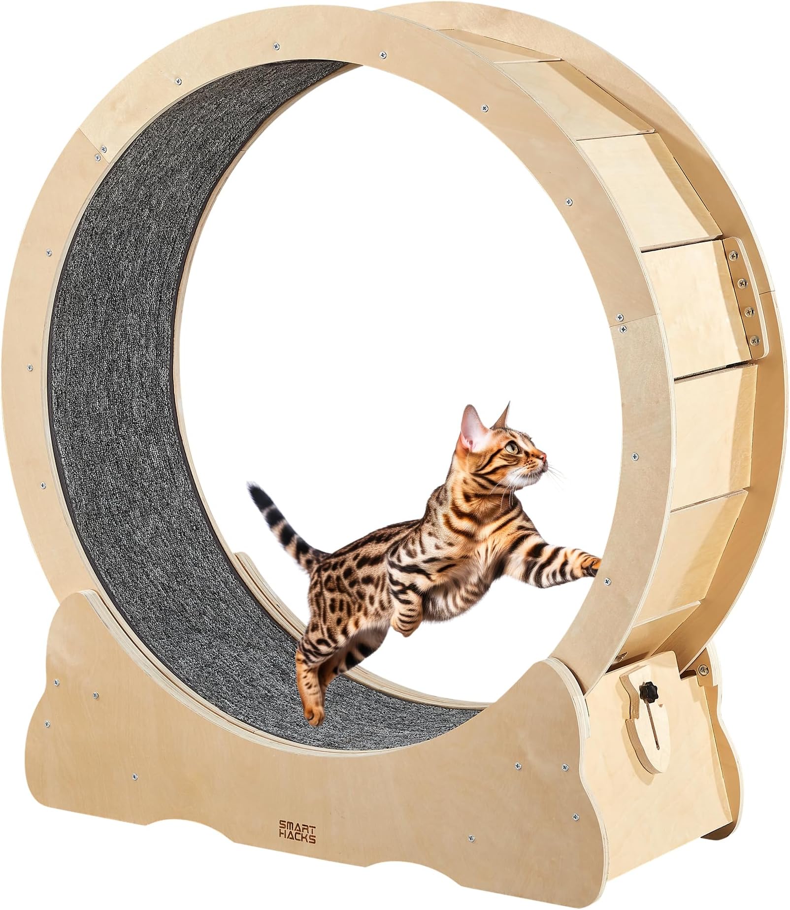 ARADNEO Cat Exercise Wheel,Cat Running Wheel ，Large Cat