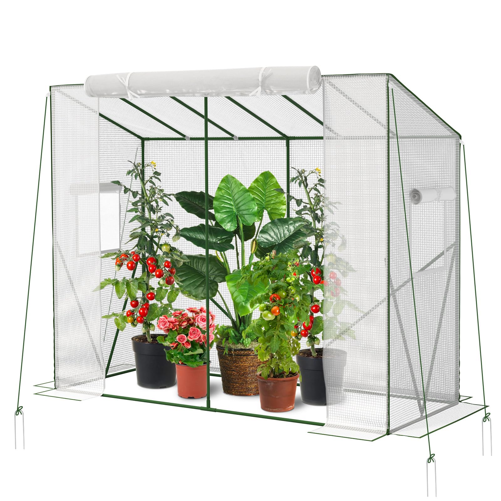 Velway Szklarnia foliowa na pomidory, stabilna – 208 x 81 x 170/141 cm, odporna na warunki zimowe, skośny dach, do ogrodu, z folią siatkową PE, okienkiem wentylacyjnym, kotwami gruntowymi i