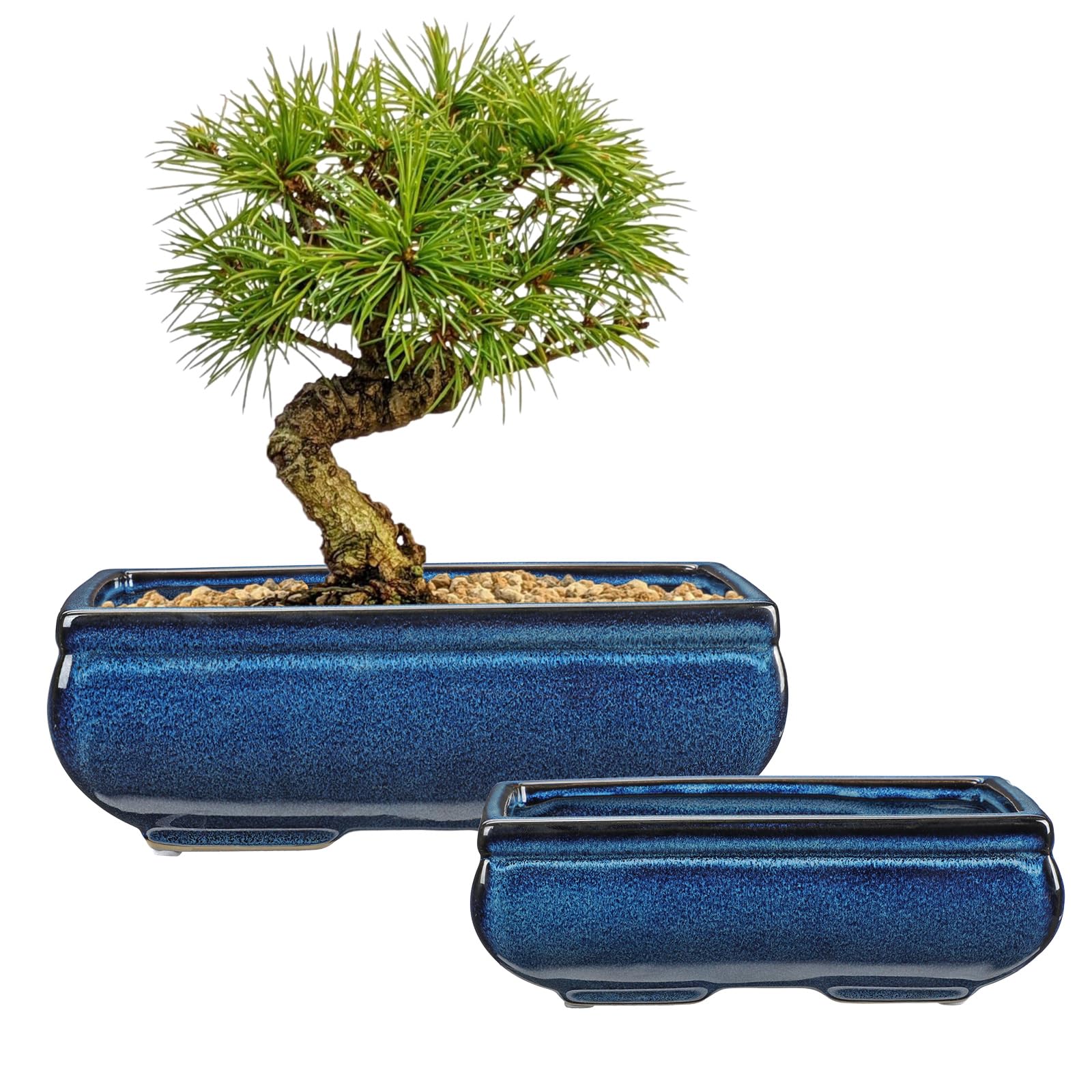Oairse Set of 2 Bonsai Pots Shallow Succulent Planters for Live Bonsai Trees, 25cm+19cm Ceramic Plant Pot for Indoor/Outdoor Succulents with Drainage Hole, Cactus Plant Pot, Blue Flower Pot — image 1