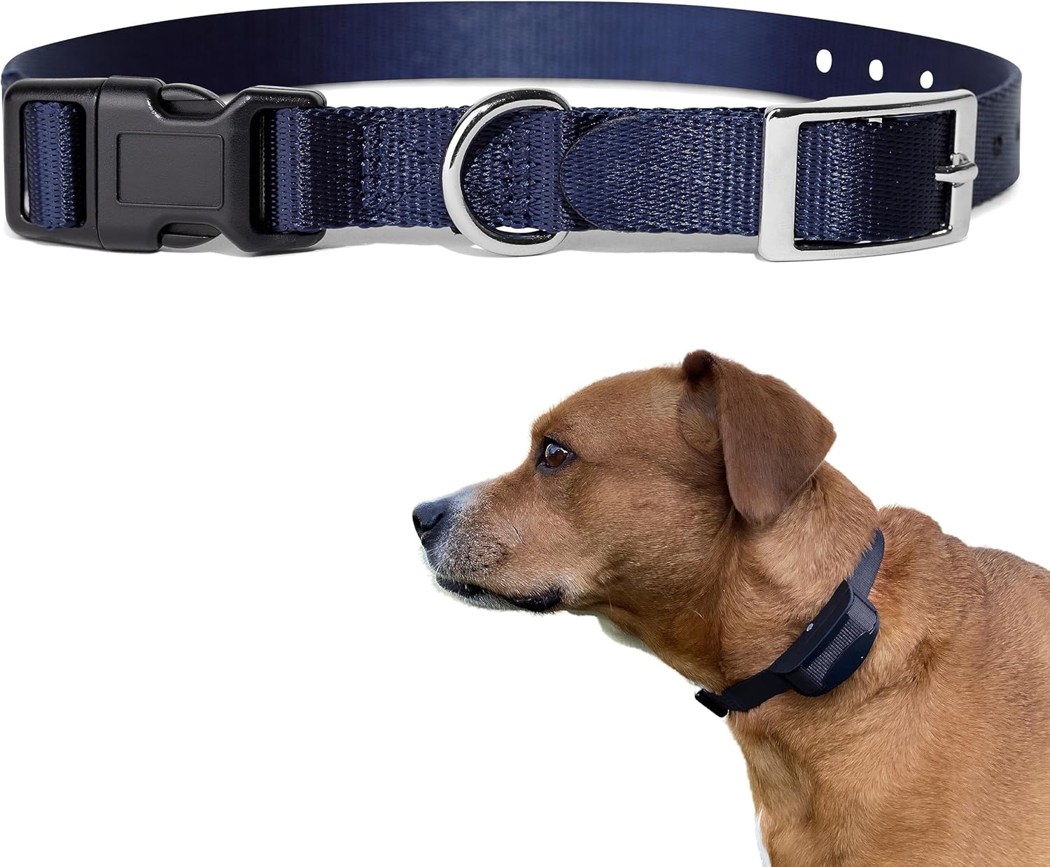 eCollar Replacement Strap Shock Collar Replacement