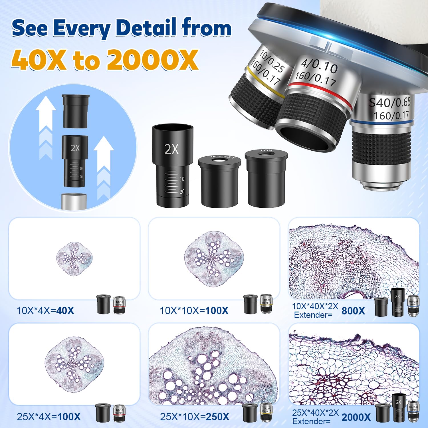Microscopio compuesto 40X-2000X para niños y adultos: microscopio biológico con diapositivas y estuche de almacenamiento, kit educativo de ciencia de laboratorio escolar para estudiantes principiantes