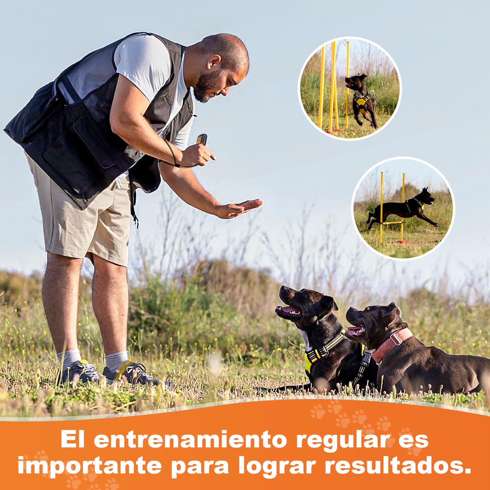 Antiladridos para Perros Ultrasonidos Dispositivo Antiladridos Ahuyentador de Perros Repelente Canino Portátil Recargable 15m Seguro y Humano Anti Ladridos Interior Exterior