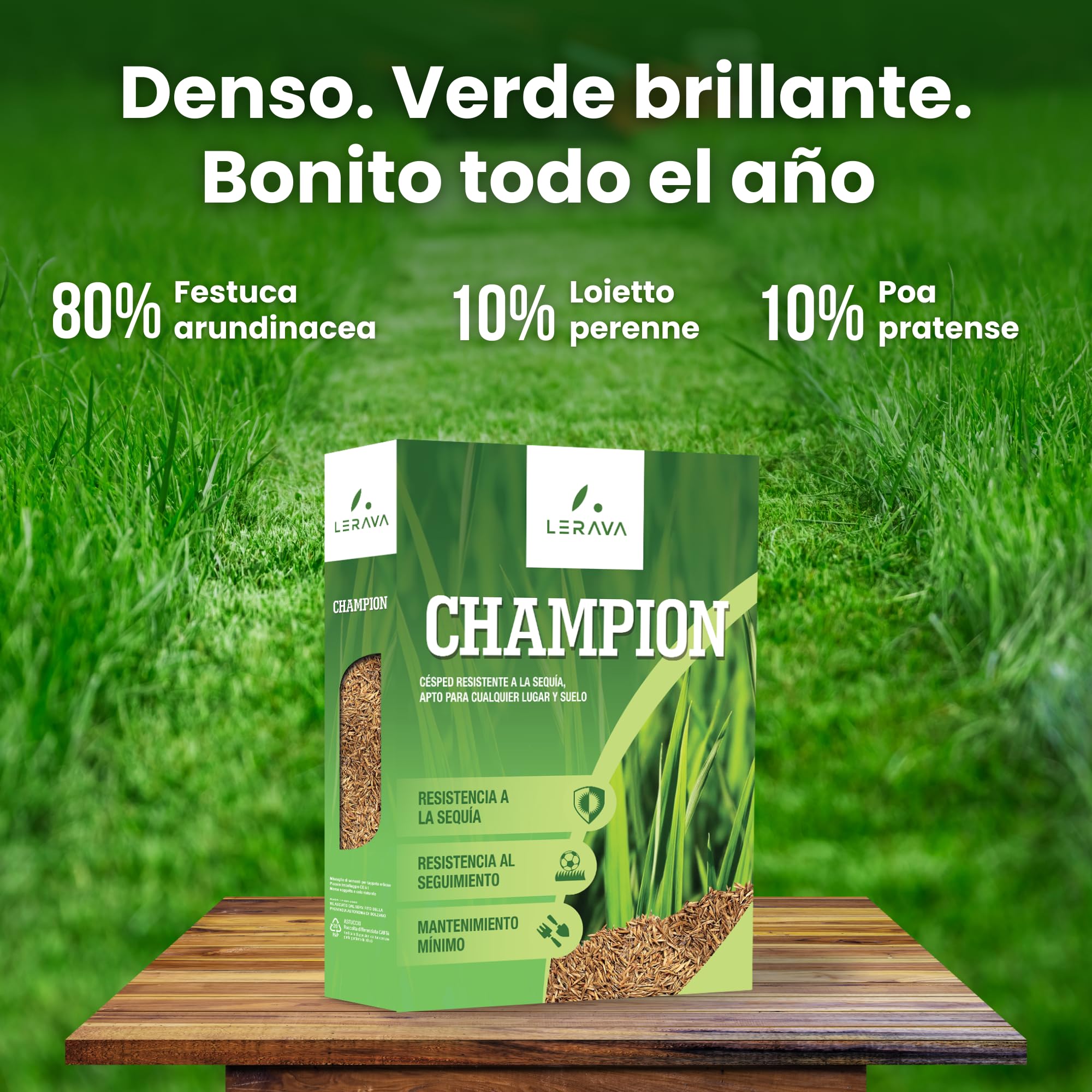 LERAVA® CHAMPION semillas cesped resistente - 10m² - semillas de cesped resistente a la sequía - transitable - cesped de bajo consumo de agua - adecuado para todos los lugares y tipos de suelo