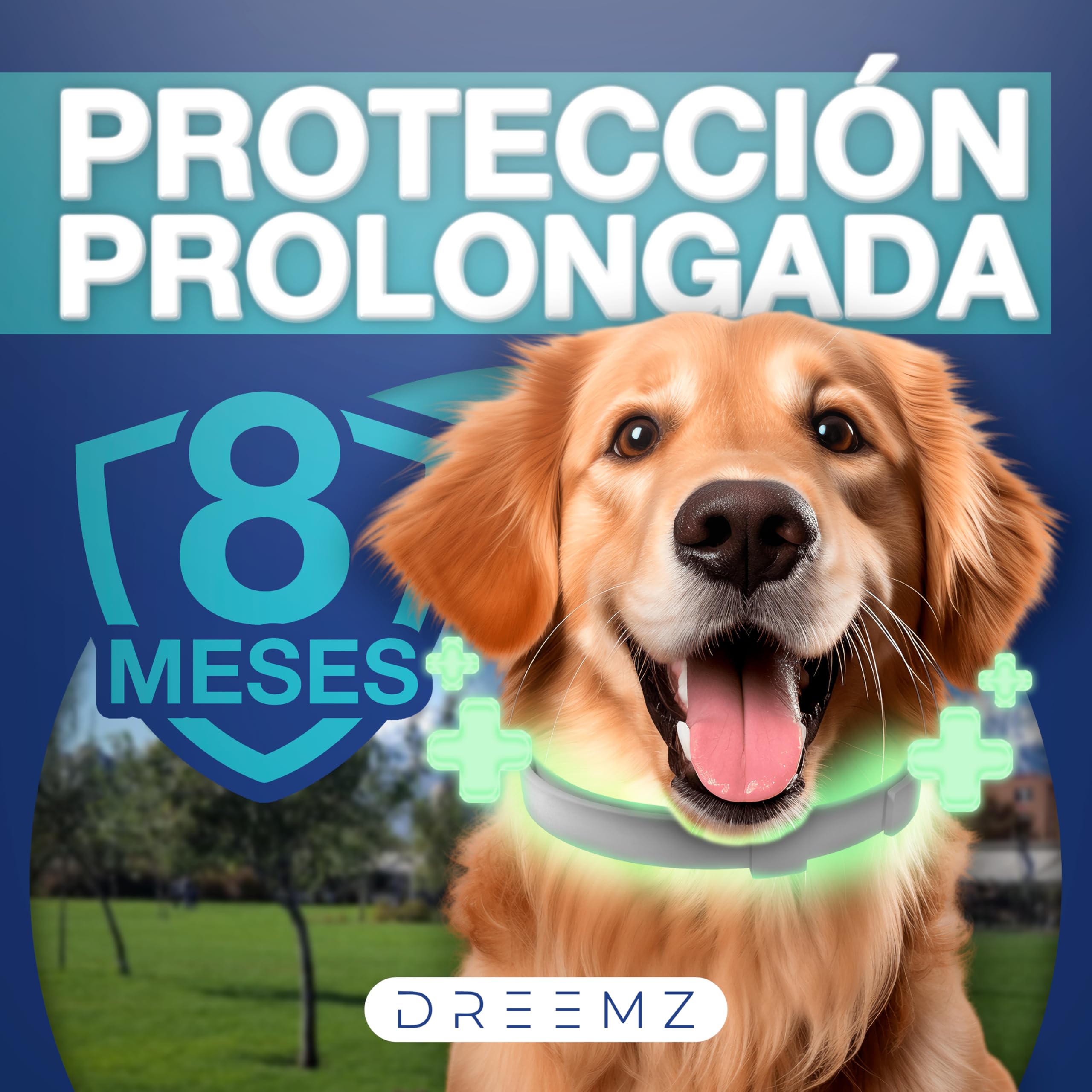 DREEMZ Collar Repelente de Insectos - Antipulgas Perros, garrapatas y Mosquitos, 8 Meses protección-63cm -100% Vegetal-Impermeable - Formatos (1 Und Gris) - 3