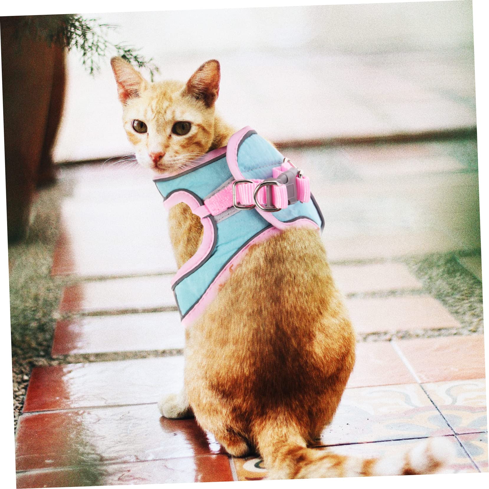 INOOMP 4 Ensembles De Harnais pour Animaux De Compagnie Harnais De Traction pour Chat Et Laisse pour Chaton Doux pour Chaton Réglable pour Chat Laisses