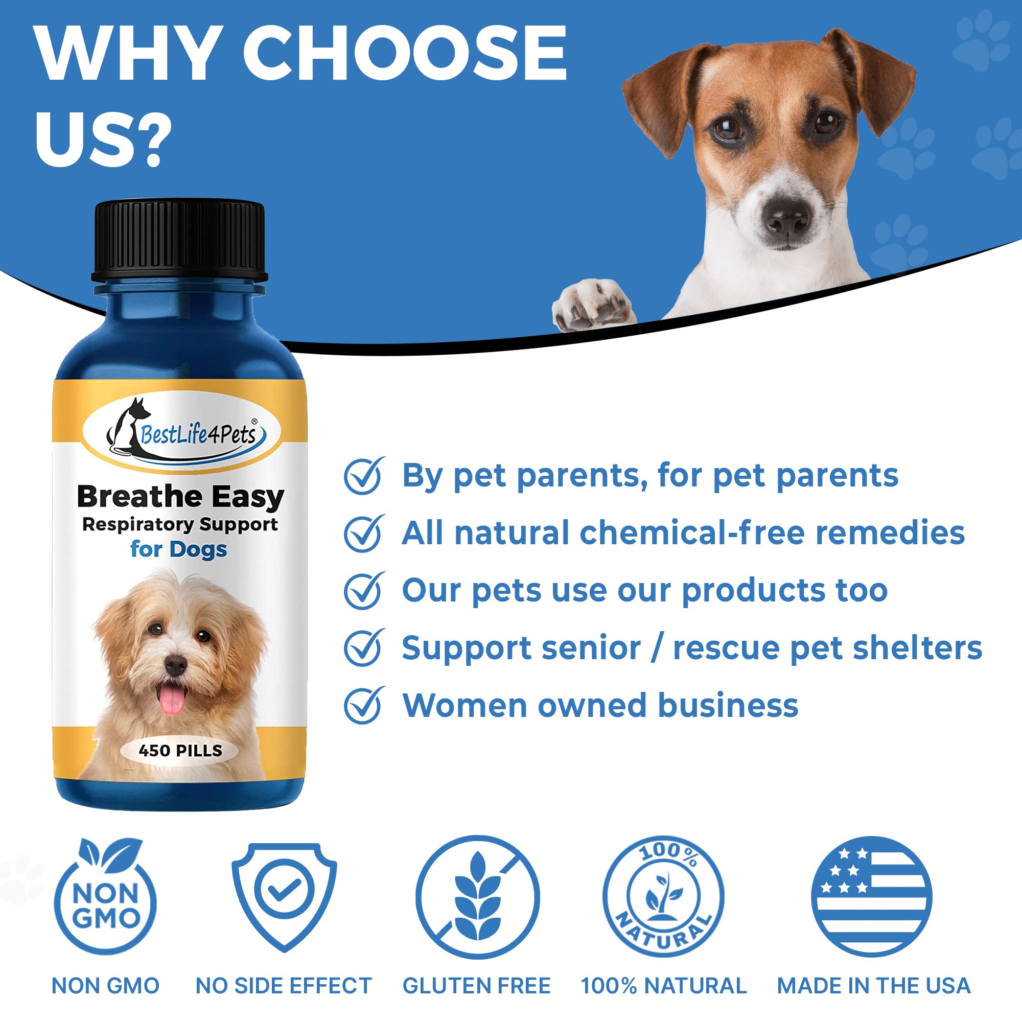 Can You Give A Dog Cold Medicine