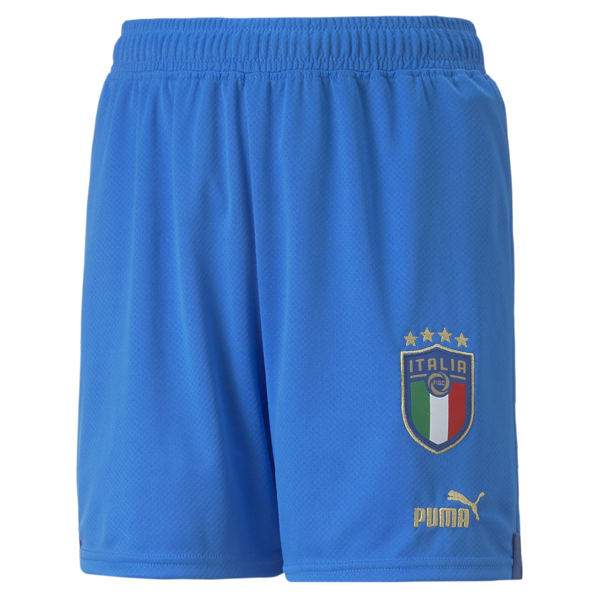Puma Shorts Brand Model FIGC Shorts Replica Jr