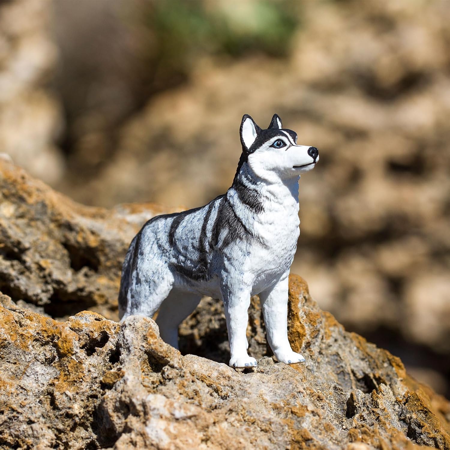 Safari Ltd. Siberian Husky Figurine - Detailed 3.25" Plastic Model Figure - Fun Educational Play Toy for Boys, Girls & Kids Ages 3+