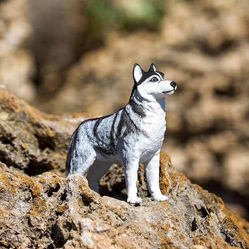Miniatura 7 de Safari Ltd. Figura de Husky Siberiano  Figura detallada de plástico de 3.25 pulgadas  Divertido juguete educativo para niños, niñas y niños a partir
