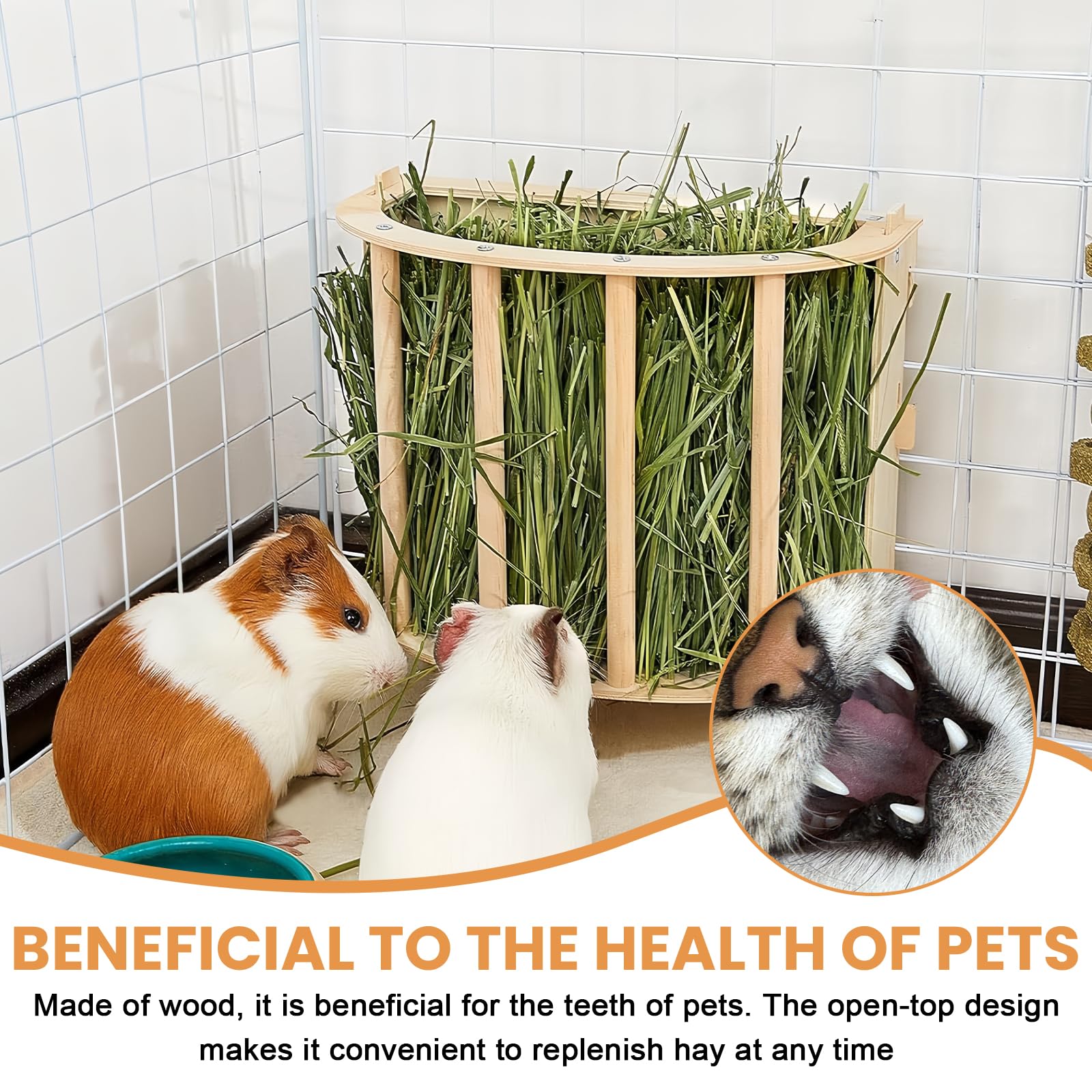 Râtelier à Foin en Bois Naturel pour Cochons d'Inde, Lapins, Hamsters