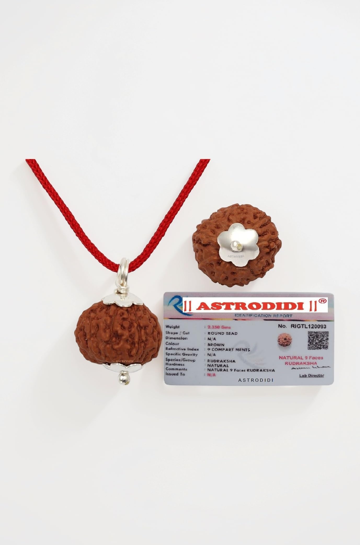 ASTRODIDI 9 Mukhi Rudraksha Original Certified Java Nine Face Small Size Silver Coated Rudraksh Pendant With Lab Report| Astrological Benefits | Unisex Design for Men & Women