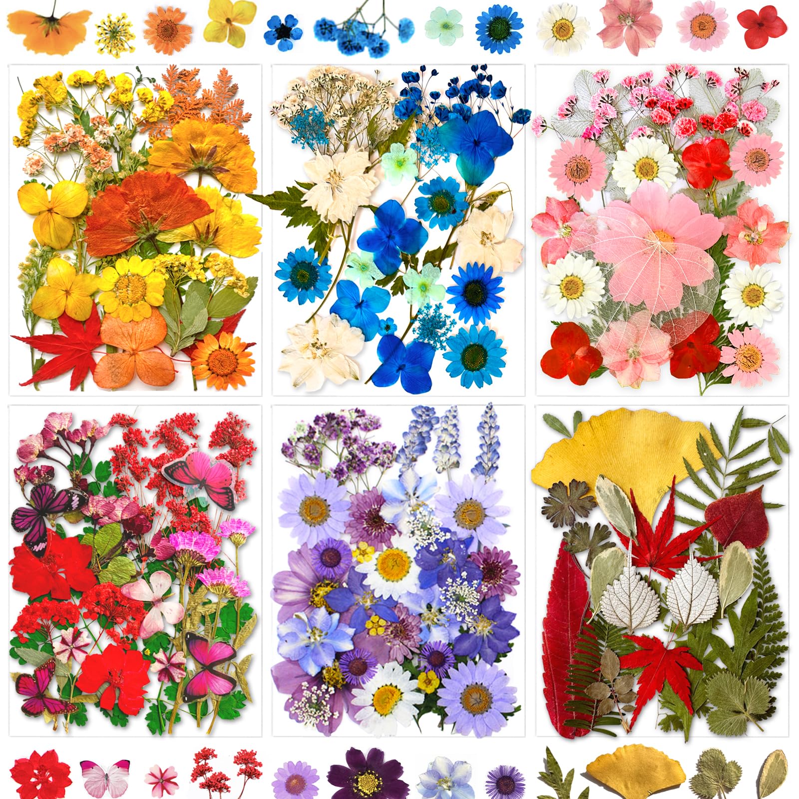 MIKIYA Dried Pressed Flowers