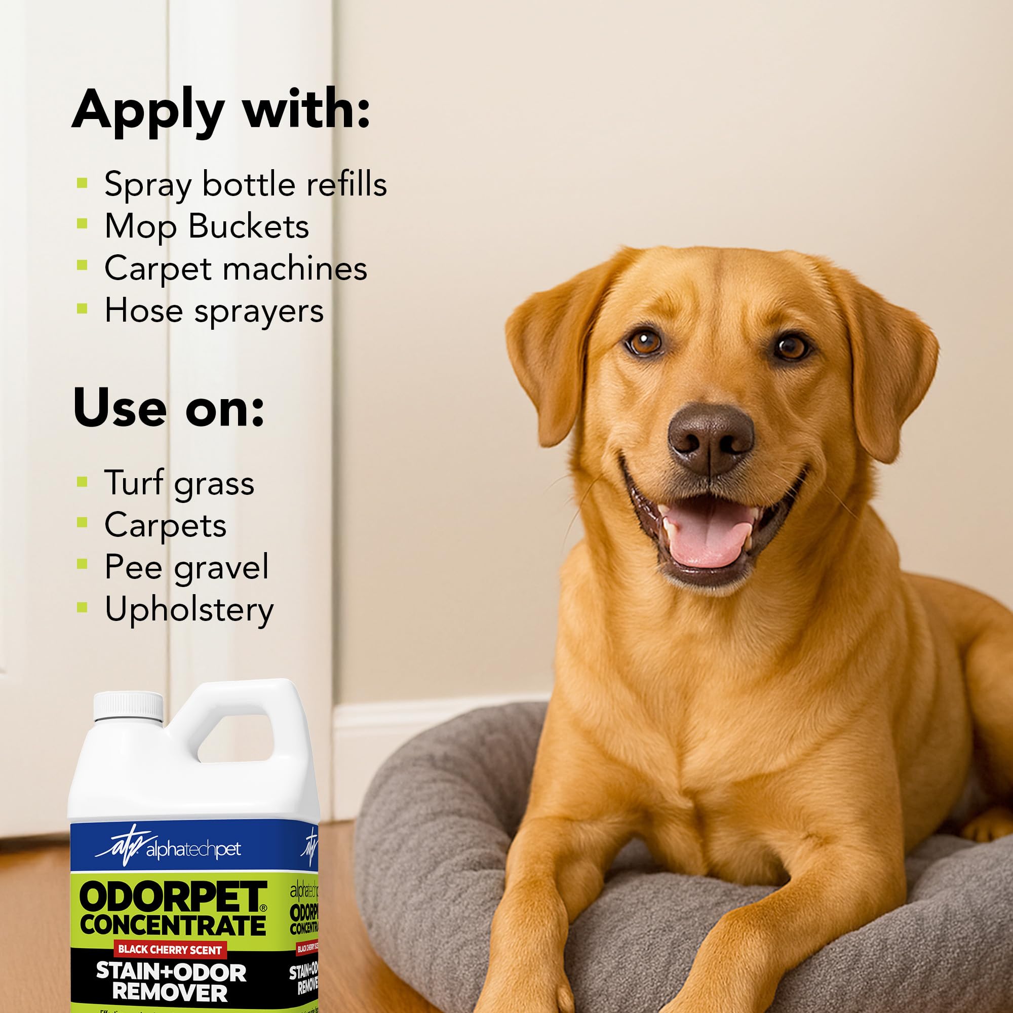 OdorPet Alpha Tech Pet - Eliminador Concentrado de Manchas y olores, 64 onzas (Hace 2.55 galones de solución de Trabajo), eliminador de olores de Mascotas con Aroma a Cereza Negra para alfombras,