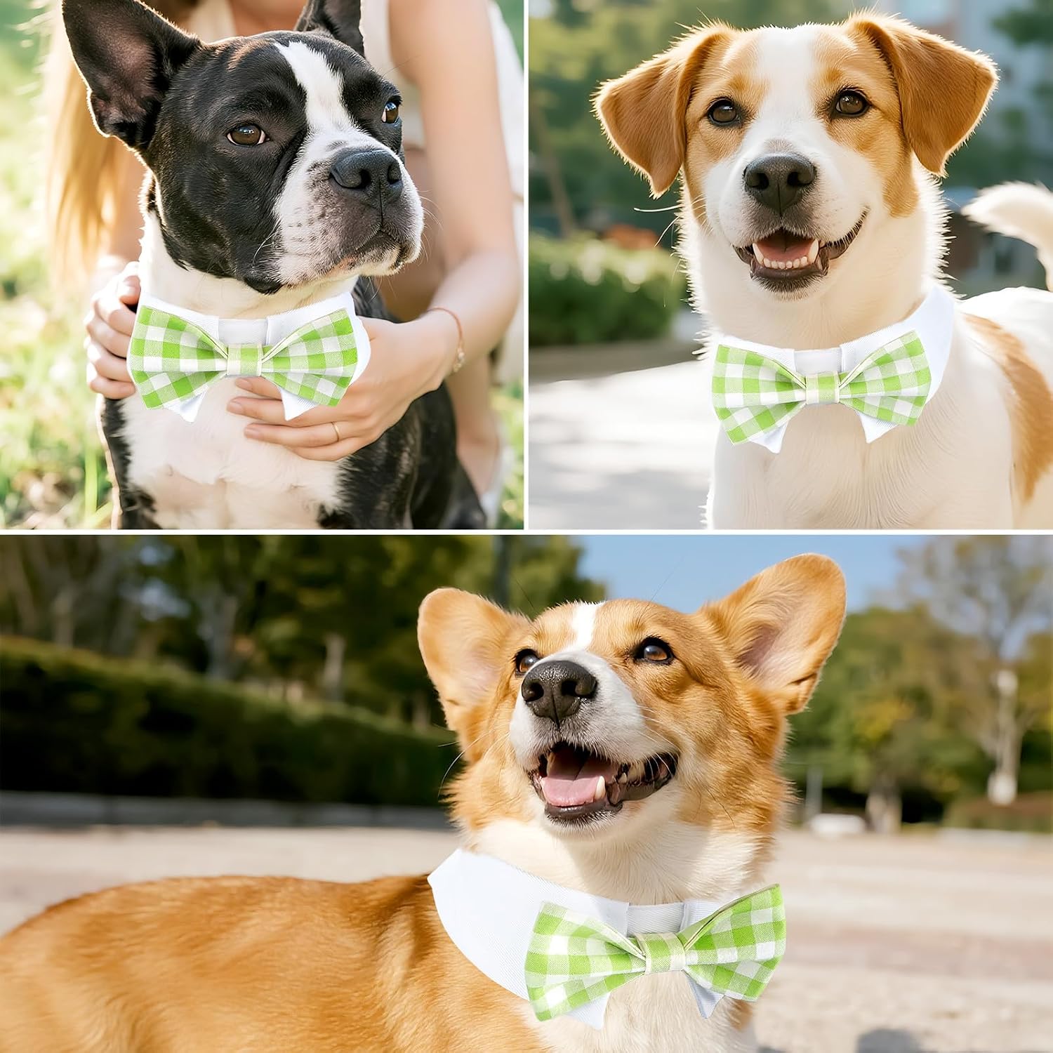 Segarty Dog Bow Tie, Adjustable Green Plaid Bowtie Collar for Neck Girth 10.2-12.6in, Medium Pet Tie Tuxedo Comfortable Cotton Boy Pet Grooming Accessory for Formal Wedding Holiday Birthday Party image 3