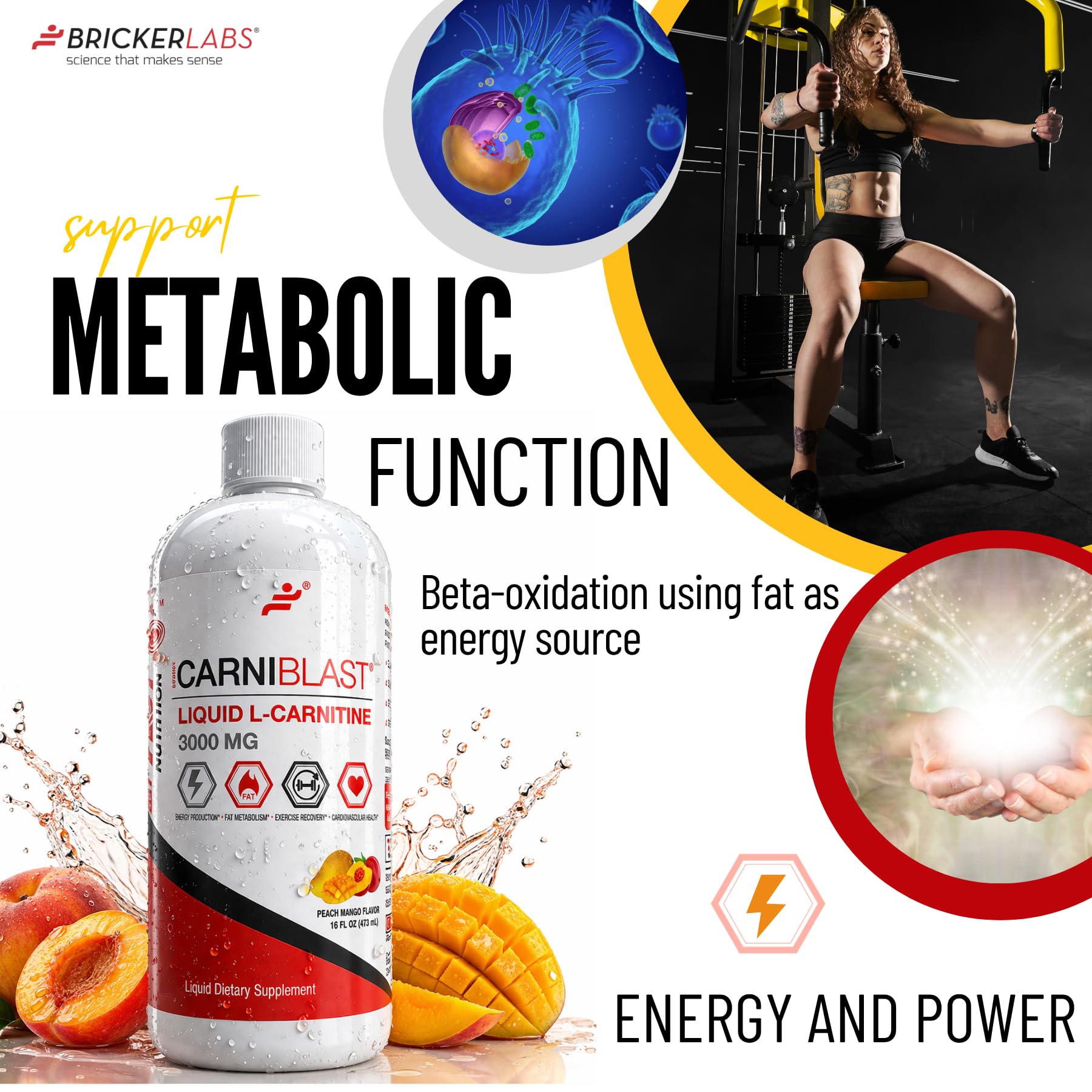l carnitine chewable Weider Body Shaper L-Carnitine Chewable Pineapple Flavor 60tablets