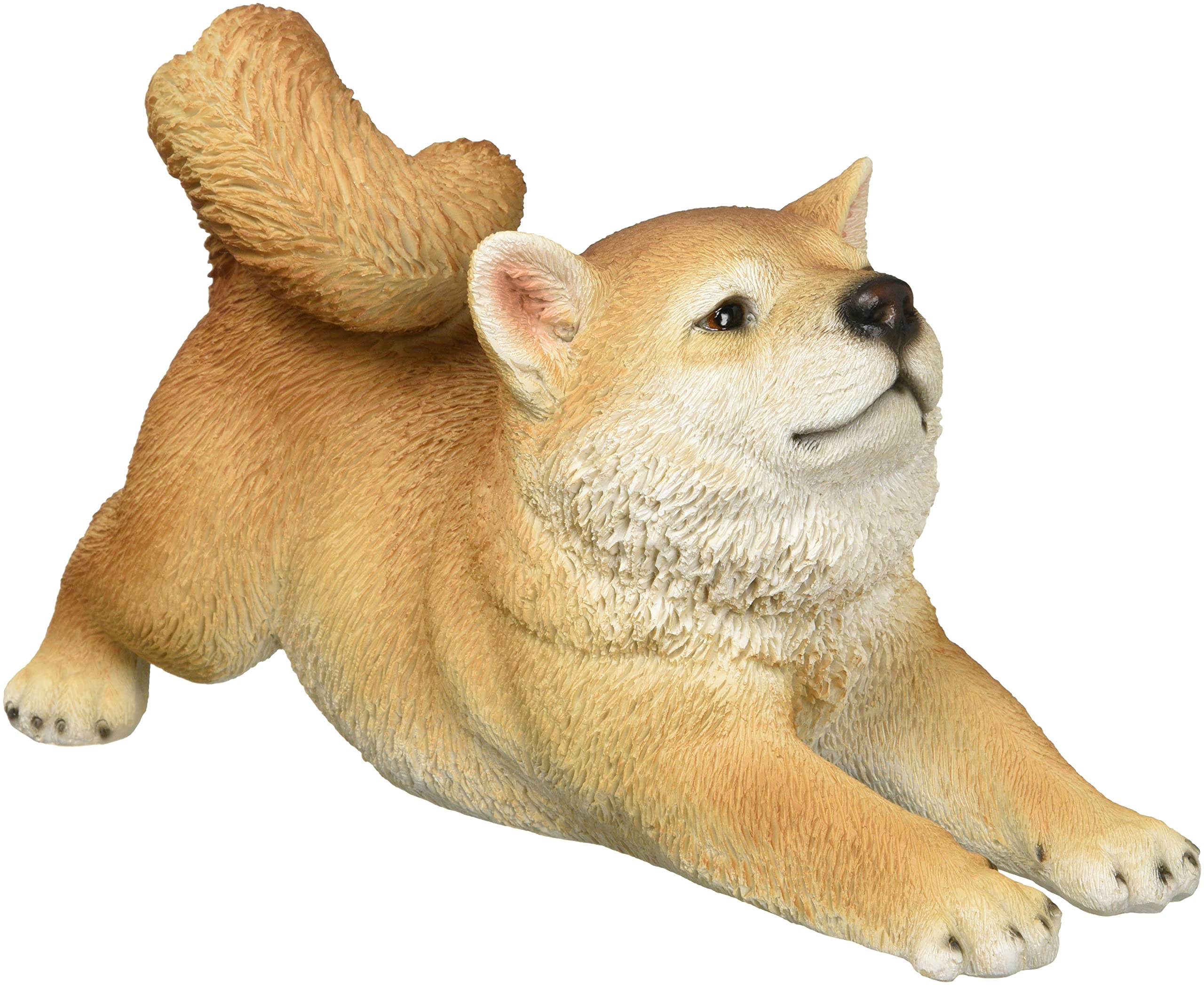 御影石の柴犬 スター犬だいふく。柴犬のルーツ、島根へ | ブルータス