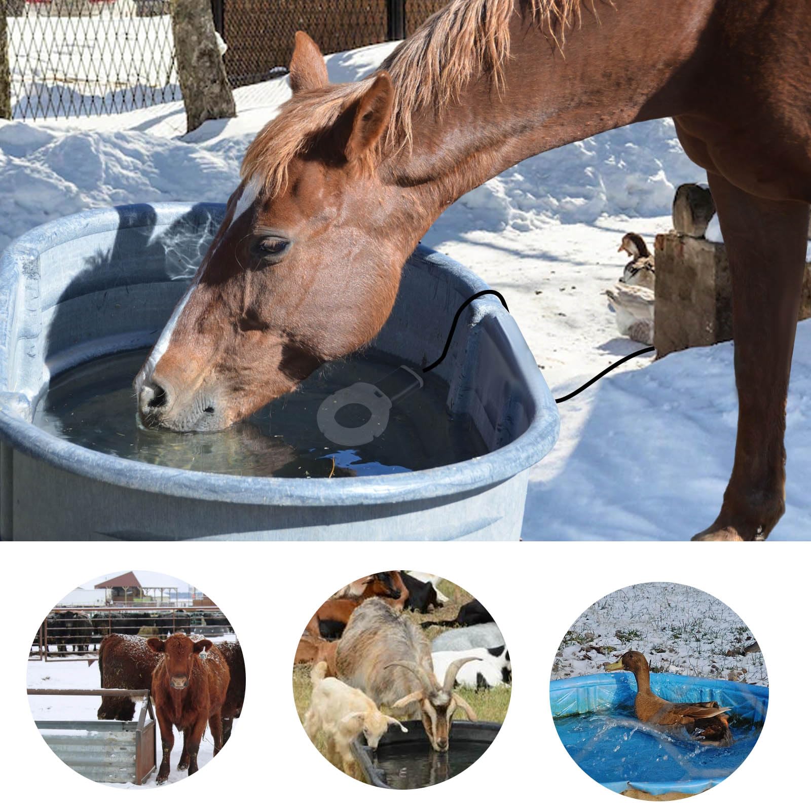 Enteiser aus Aluminiumguss, tauchfähig, 500 W, thermostatische Kontrolle, Geflügel, Vogeltränke, Enteiser für Nutztiere, Geflügel, Vögel, Kühe, Pferde, Wildtiertrinken im Winter, draußen und