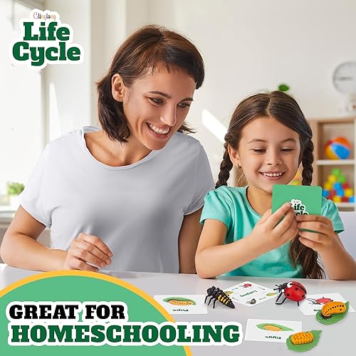 Miniatura 5 de Kit de ciclo vital Montessori - Juguetes de figuras realistas, juego de animales a juego para niños con mariquita, relleno de calcetines para niños,