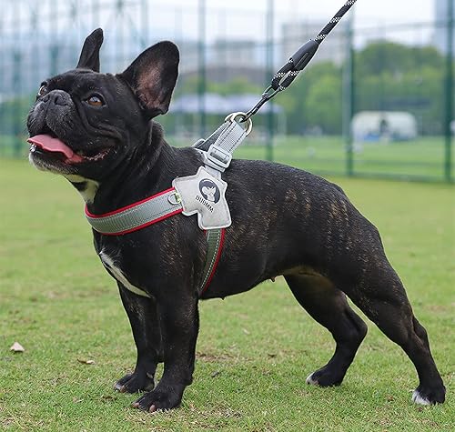 Miniatura 7 de Arnés para perro, arnés en forma de Y, transpirable, disipación de calor, fácil de usar, letreros reflectantes nocturnos para perros pequeños