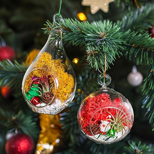 Miniatura 2 de Kit de terrario de adornos navideños de bricolaje - Plantas de aire vivo - 2 terrarios de vidrio, musgo de reno, figuras de Navidad, piedras blancas