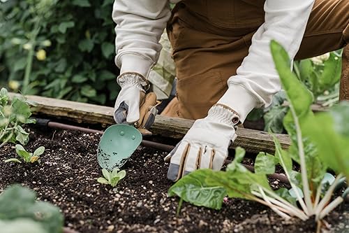 Vista 13 de Barebones Triangle Hoe - Cuchilla de acero inoxidable, herramientas de jardinería japonesas para deshierbar mango largo y azada de mano (Ash/Mint)
