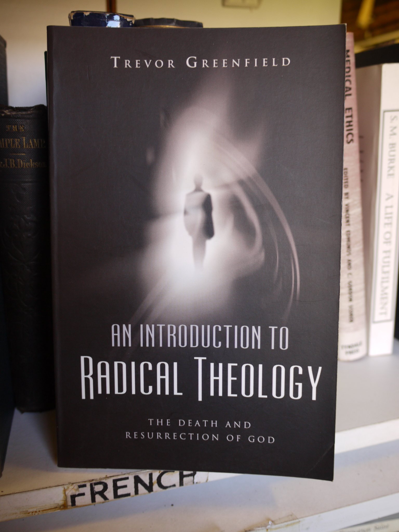 An Introduction to Radical Theology By Trevor Greenfield