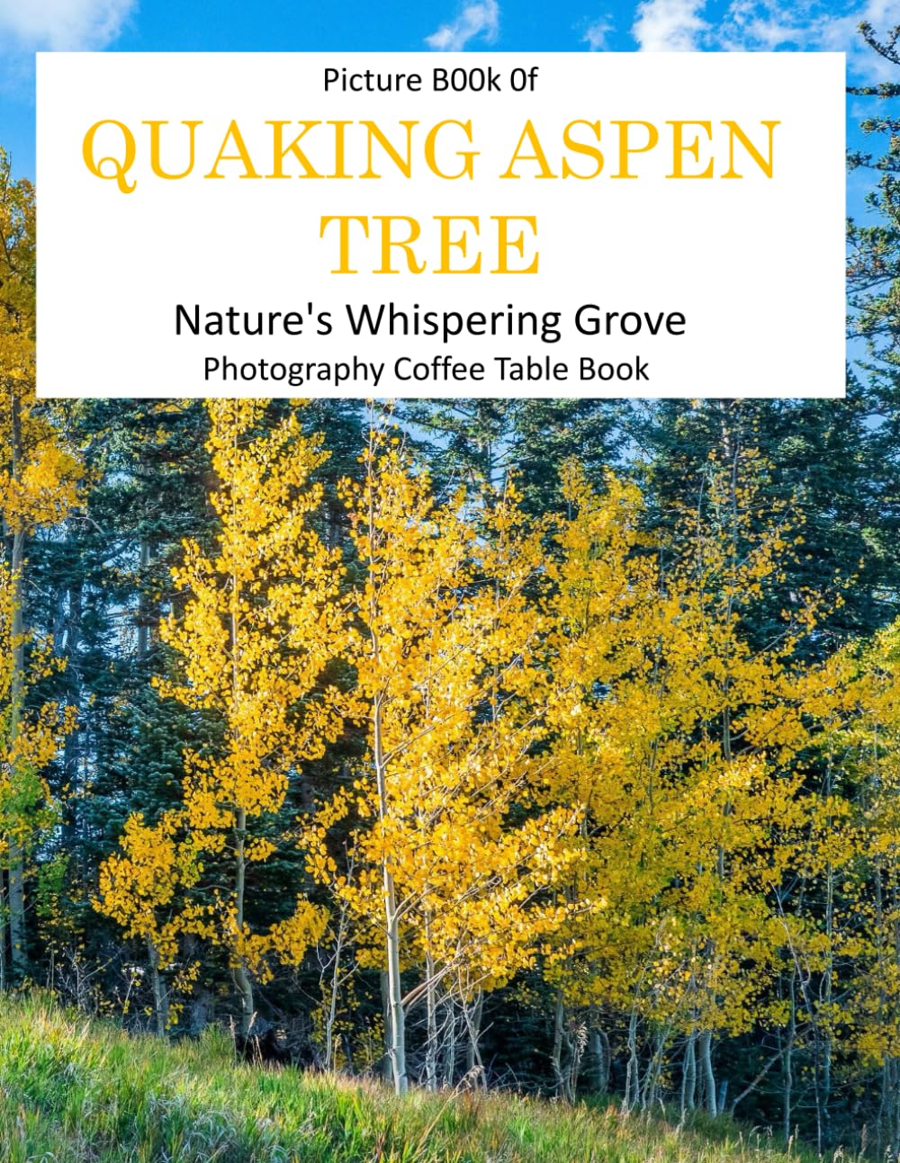 QUAKING ASPEN TREE: Nature's Whispering Grove