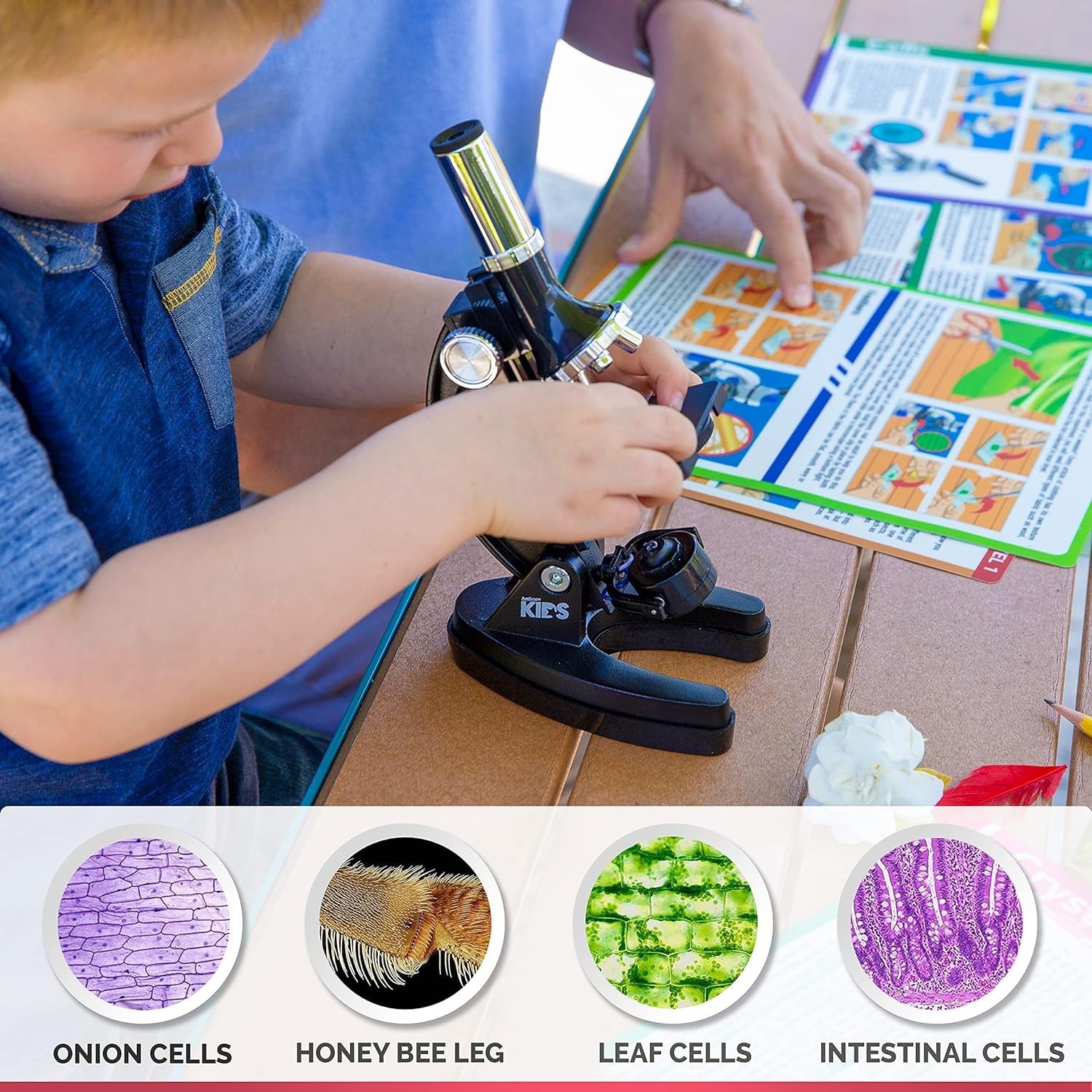 M30-ABS-KT1-WM 120X-240X-300X-480X-600X-1200X Kit educativo de microscopio compuesto para niños con brazo metálico + libro 7