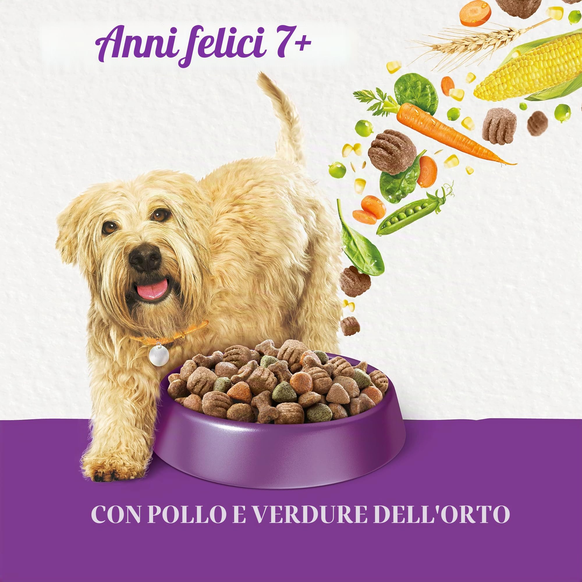 Beneful Anni felici 7+ Senior cibo per cani secco, con pollo e verdure da giardino, confezione da 1 (1 x 12 kg)