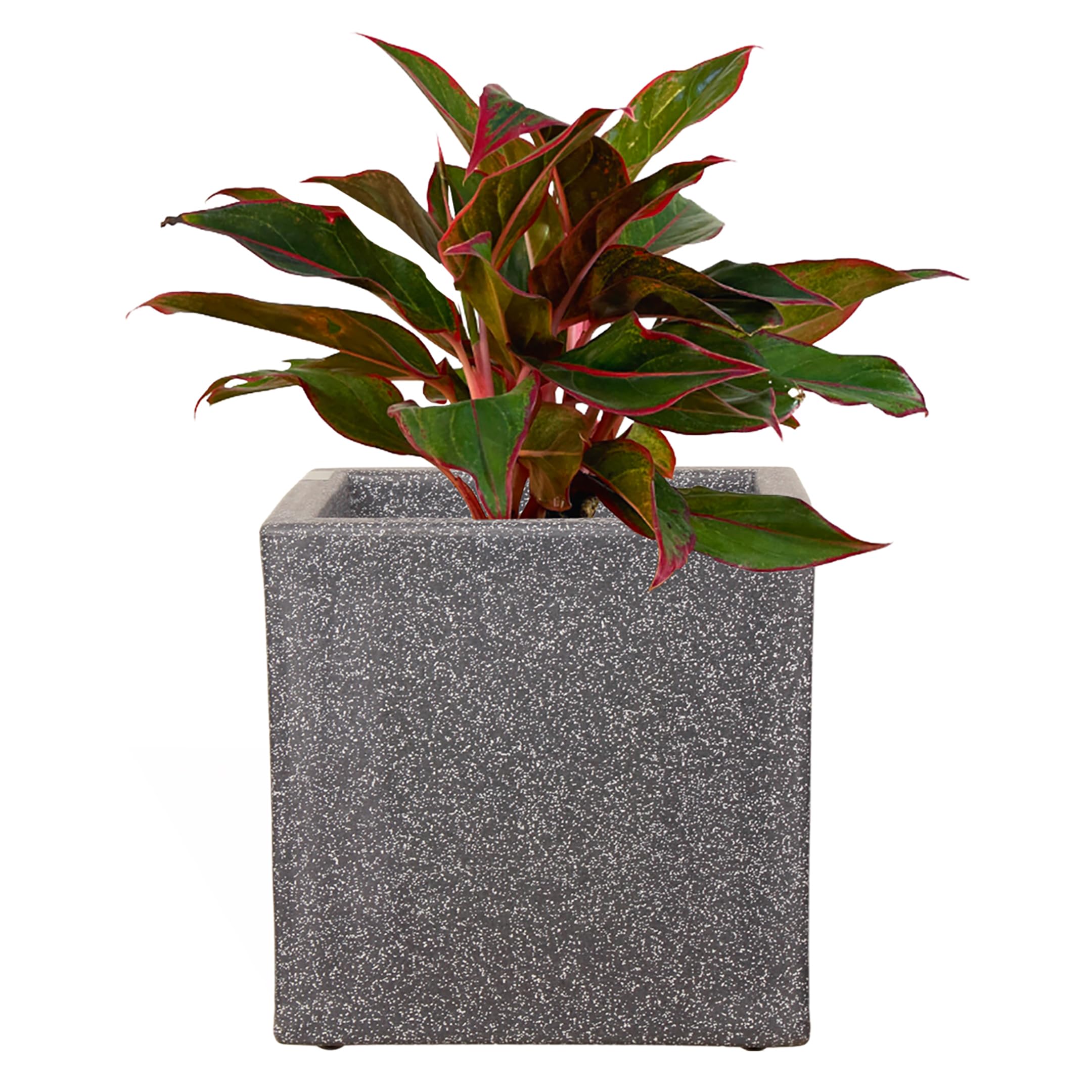 Amazon Brand - Umi Indoor & Outdoor Plastic Marble Look Venice Pot | Flower Pot for Home Planter | Plant Container for Home/Office/Garden Dcor - Color : Gray-Granite, Size : 9In(22.86cm) - Set of 1 (B0CZJ1RK61) Amazon Price History, Amazon Price Tracker