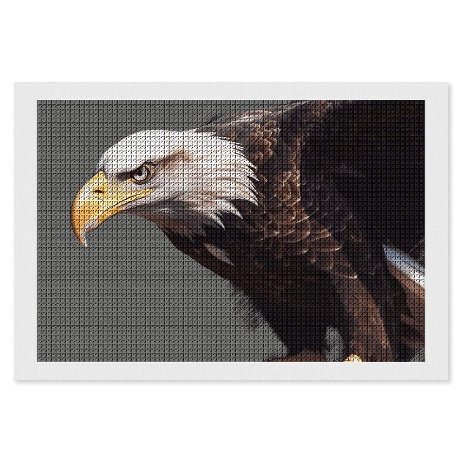 NONHAI Diamond Painting Kits for Adults - DIY Diamond Art Kits for Beginners - Full 5D Paint Drill Diamond Dots Paintings- Eagle Diamonds Pictures Gem Art and Craft Wall Decor 8"x12"