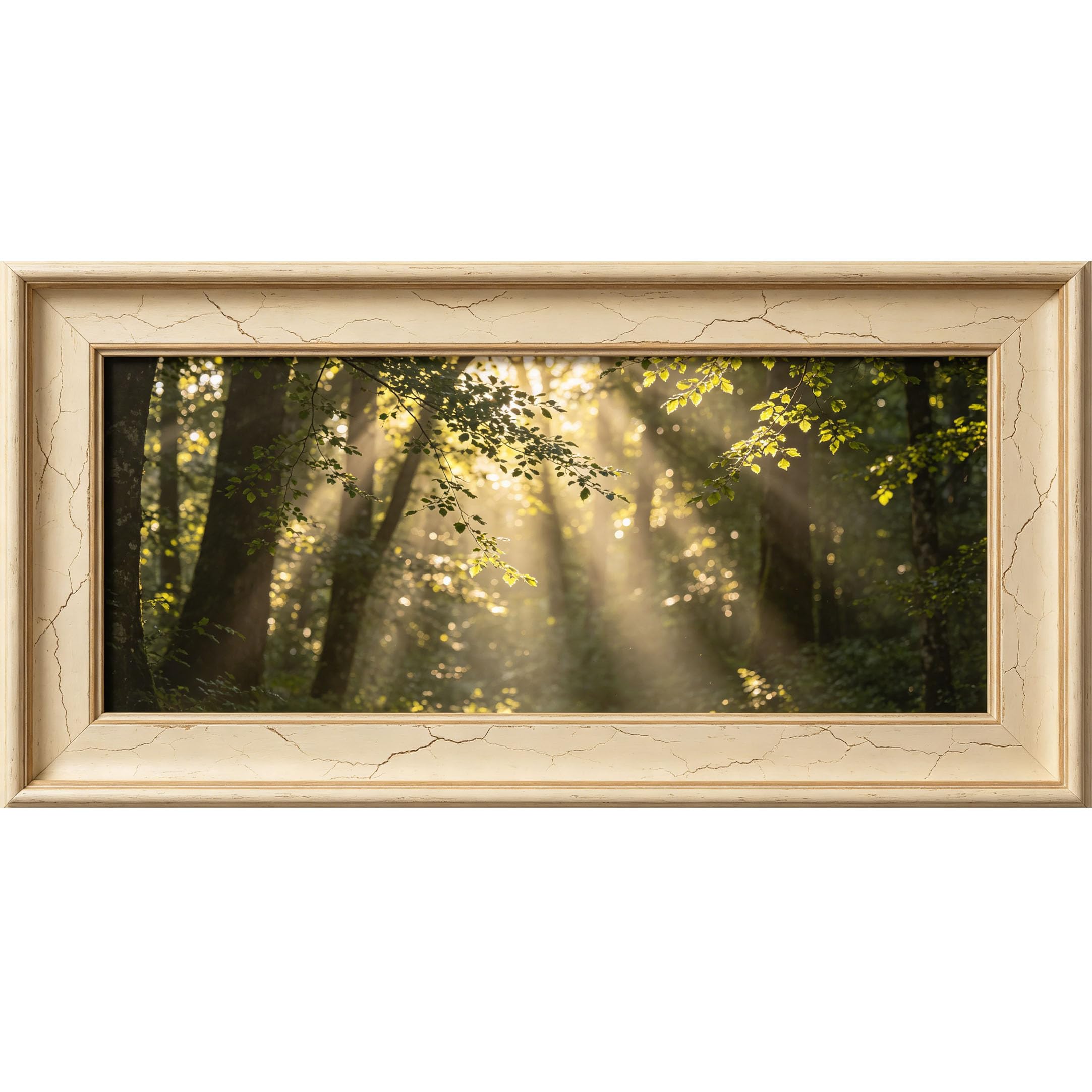 Agglomerix 3D Framed Wall Art Sunlight Forest Trees Nature Woodland Botanical Textured Large Size SelfAdhesive Removable Wall Decor Prints Artwork for Living Room Bedroom Office