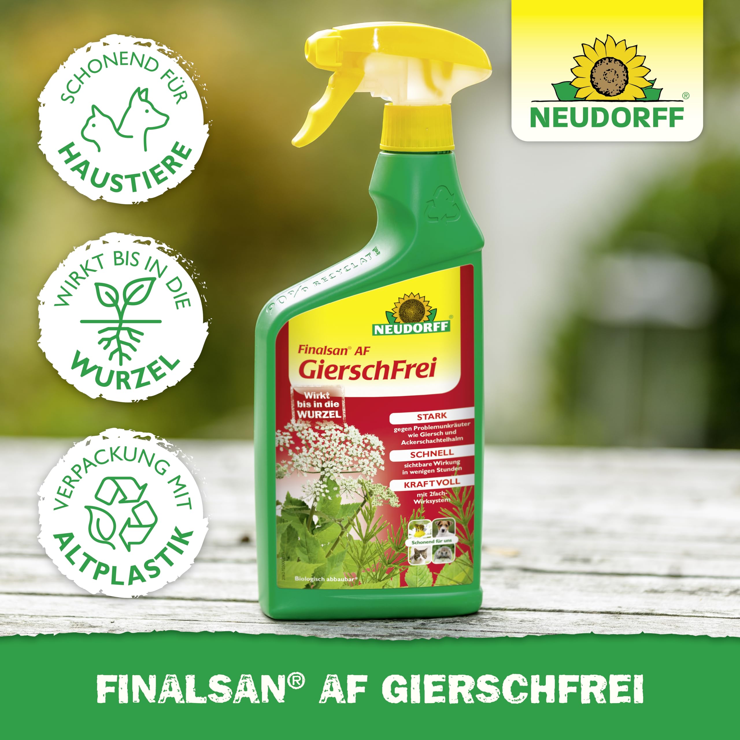 Neudorff Finalsan AF GierschFrei – Schnell wirkender Unkrautvernichter gegen Giersch und Ackerschachtelhalm für 100 m². Wirkt bis in die Wurzel, 3 Liter