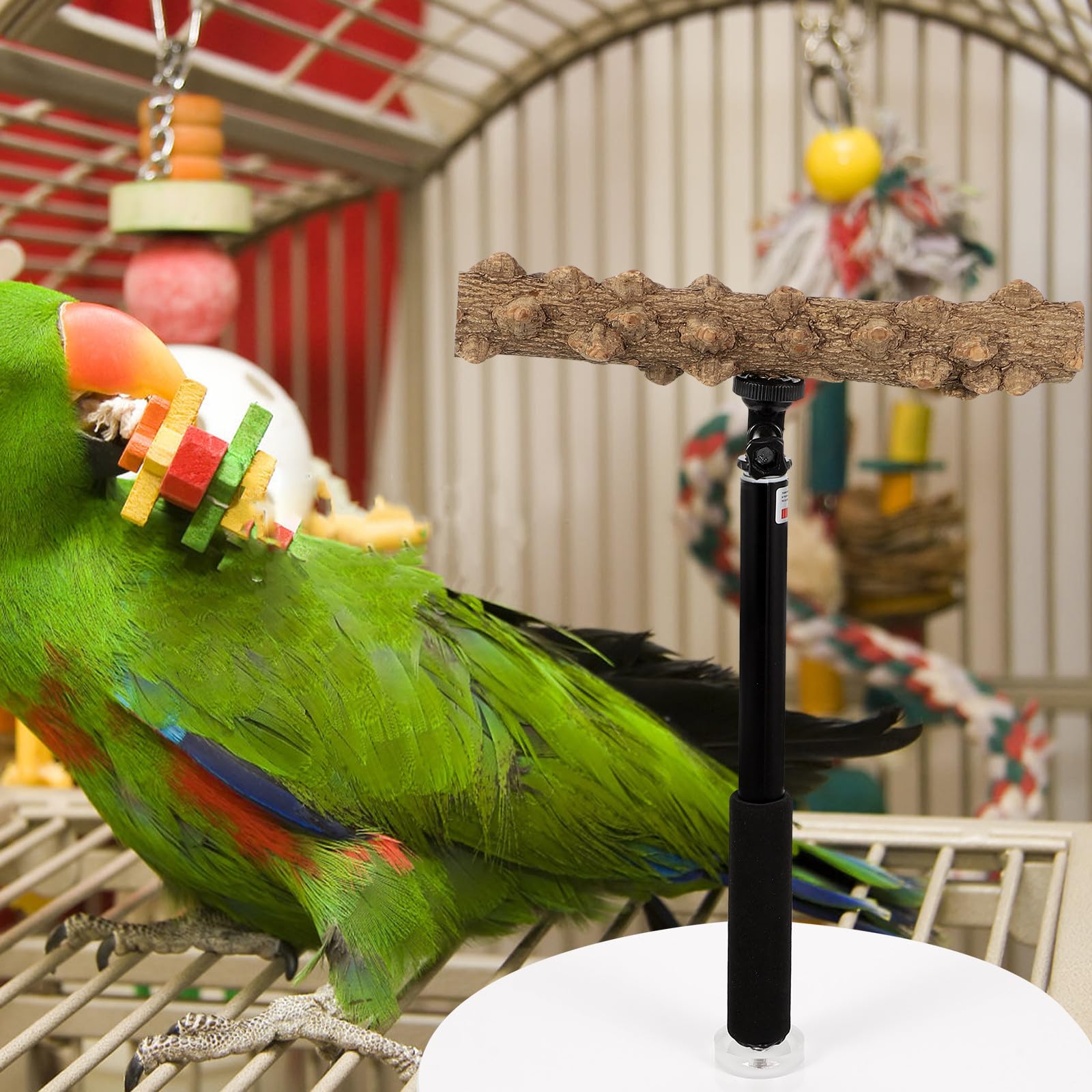 Verstellbare Vogelstange und Metall mit Stabiler Basis und Rauer Oberfläche für Papageien zum Training und Spielen im Vogelkäfig