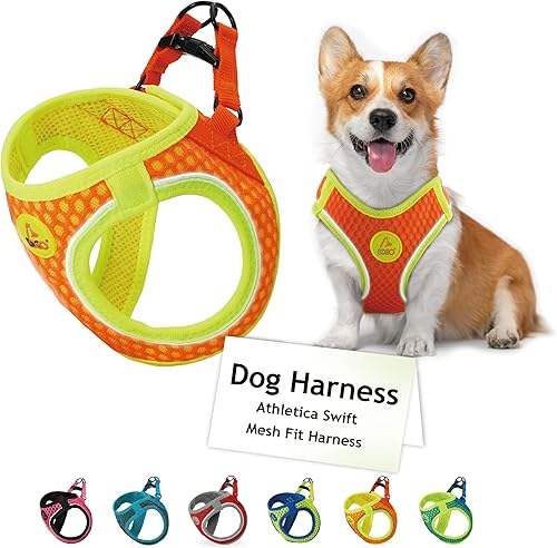 DOCO Arnés para perro (pecho de 13.5"-14", peso de 4 a 6 libras) Athletica, ajustable, resistente, no asfixia, chaleco para cachorros para perros