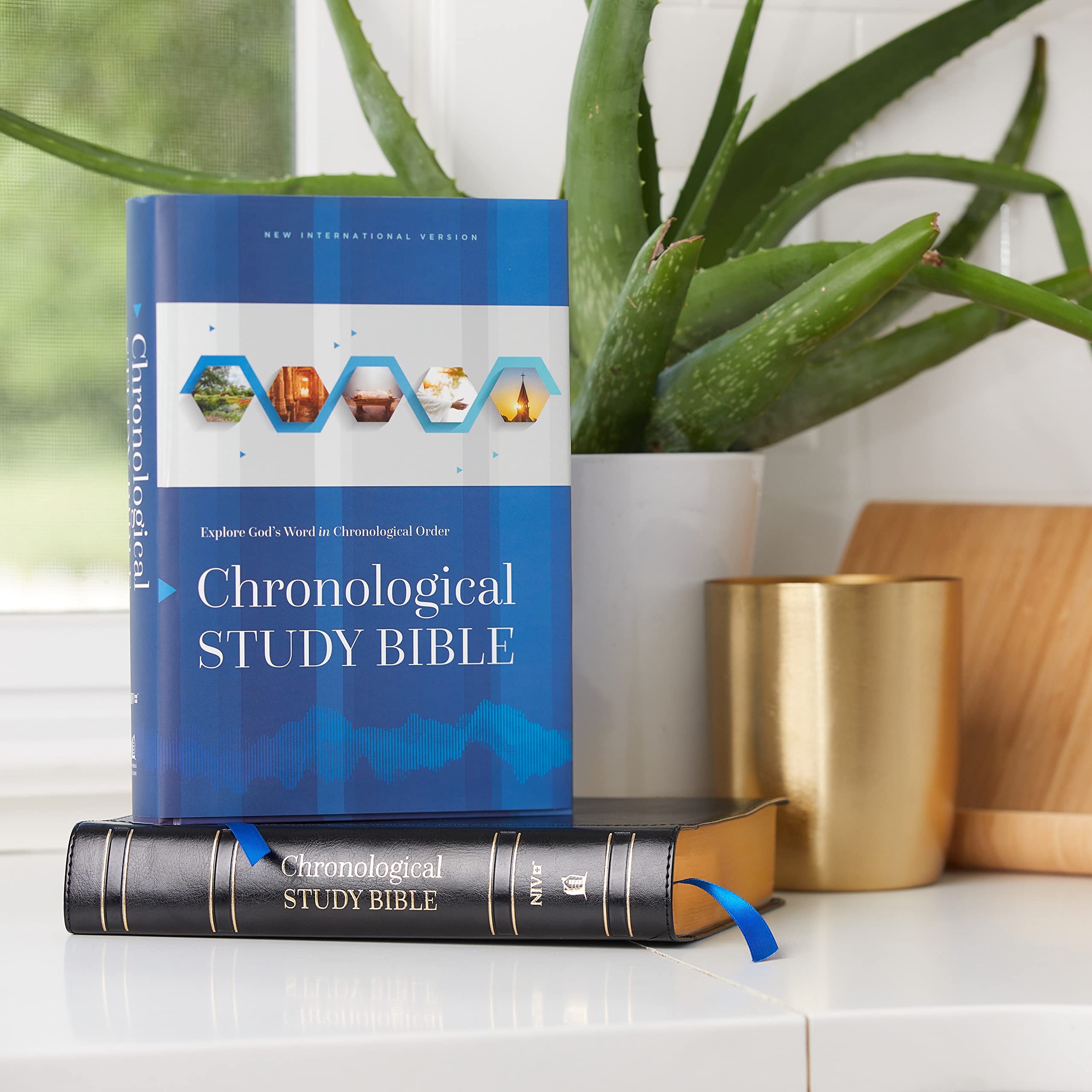 NIV, Chronological Study Bible, Hardcover, Comfort Print: Holy Bible, New International Version