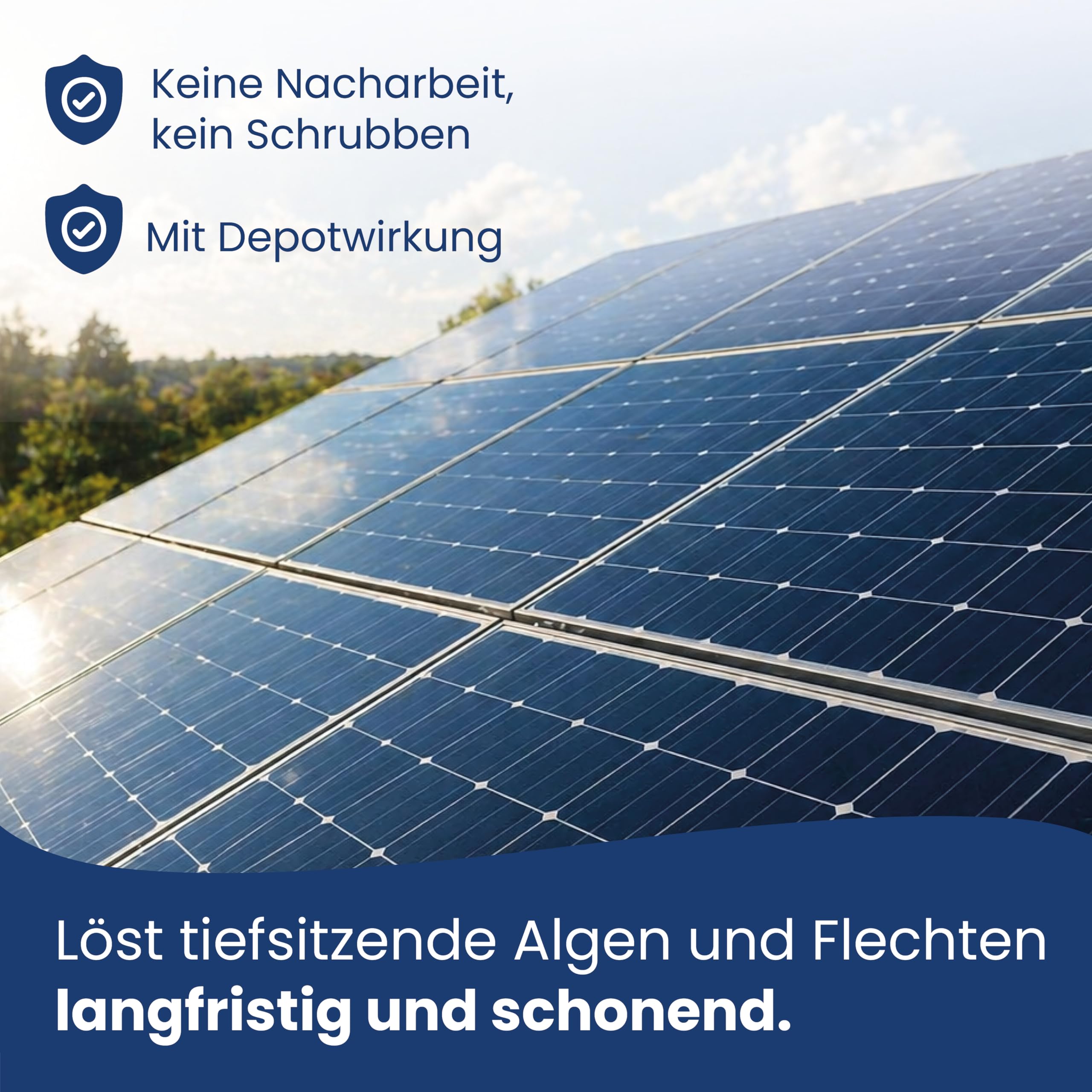 AGO Quart PV Solarmodul-Spezialreiniger 2 Liter – Solarreiniger, Algen- & Flechtenentferner für Photovoltaikanlage – selbsttätig – Photovoltaik Reiniger 1:10