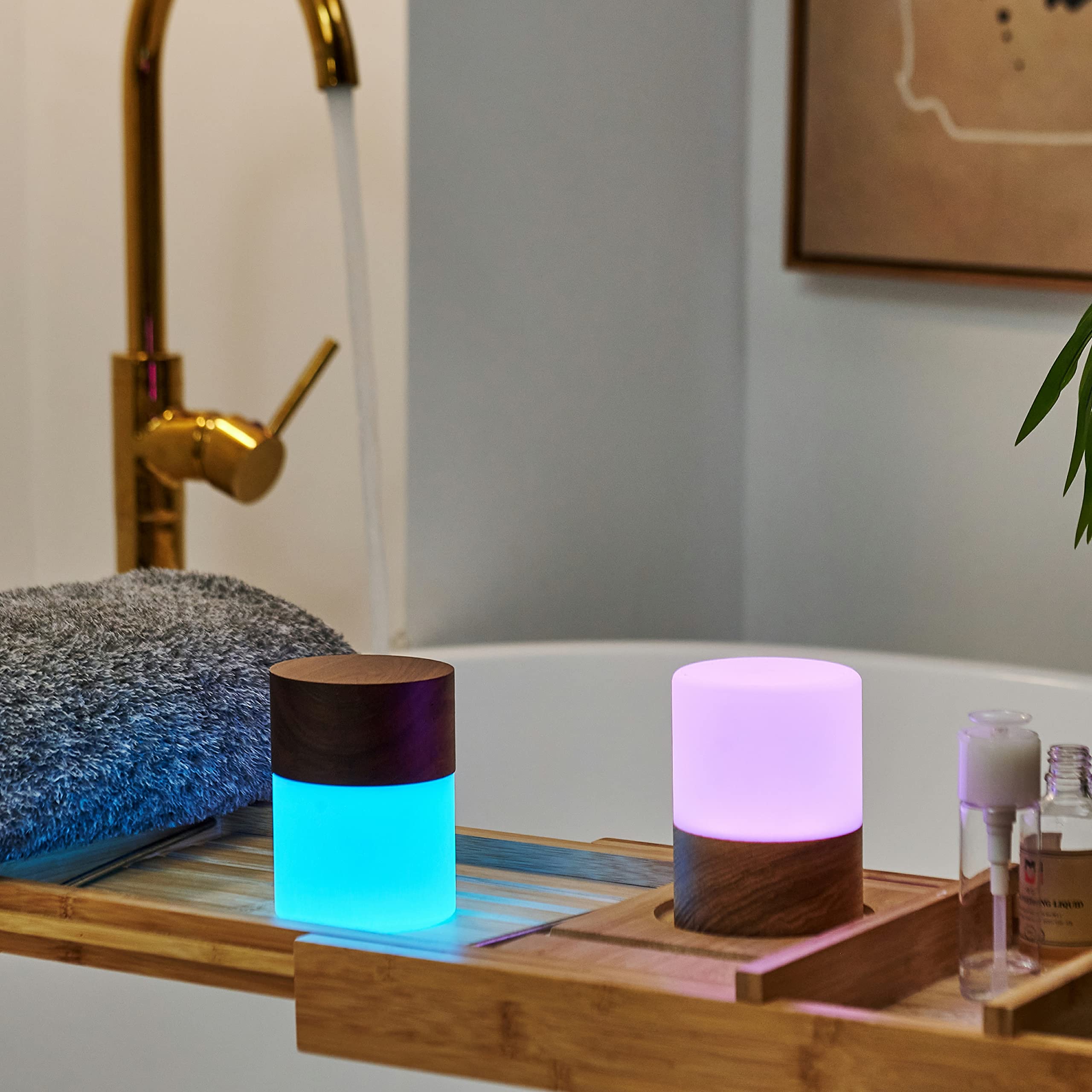 Amazon.com: Gingko 7 Colour Changing RGB Large Lemelia Night
