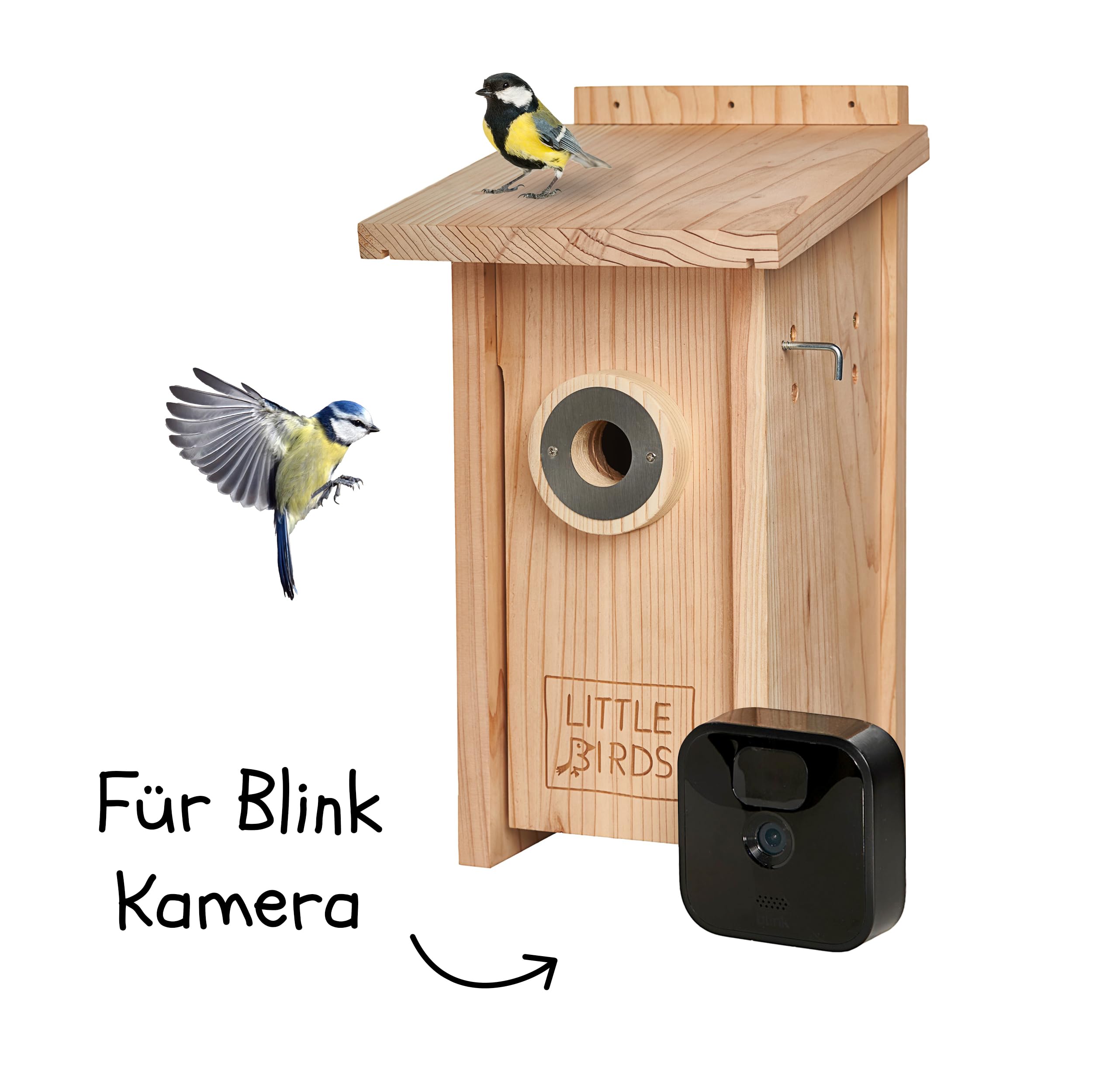 Little Birds - Caja nido para cámara "Blink", madera maciza ecológica, protección para gatos y pájaros carpinteros, incubadora