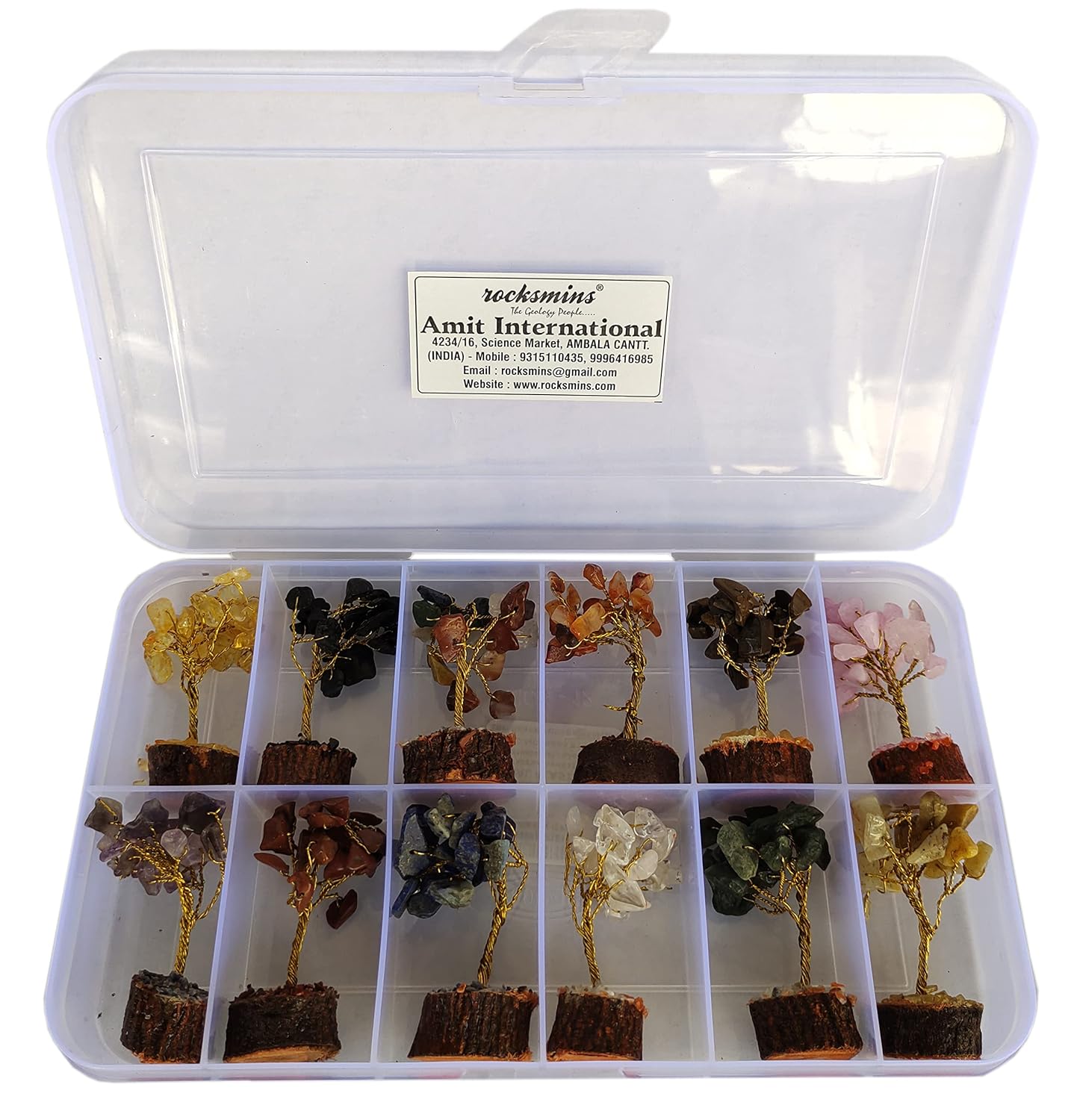 Buy rocksmins Baby Money Tree Set of 12 Natural Small Size Stone Mini