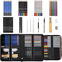 72 Drawing Sketching Pencils, Art Supply Drawing Pencils Set in Black Zipper Case, Pro Drawing Kit With Colored Pencils, Charcoal Pencil,Extender,Graphite For Artists, Beginners and Kids