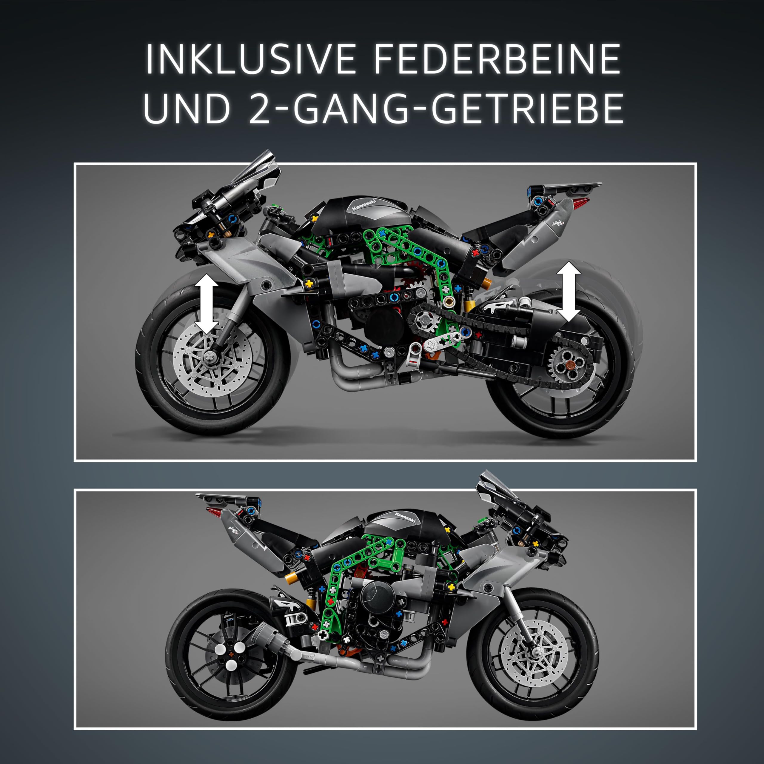 LEGO Technic Kawasaki Ninja H2R Motorrad, Geschenk für Kinder & Erwachsene zum Geburtstag, Dekoration, Spielzeug, Modell für Jungen und Mädchen ab 10 Jahren 42170