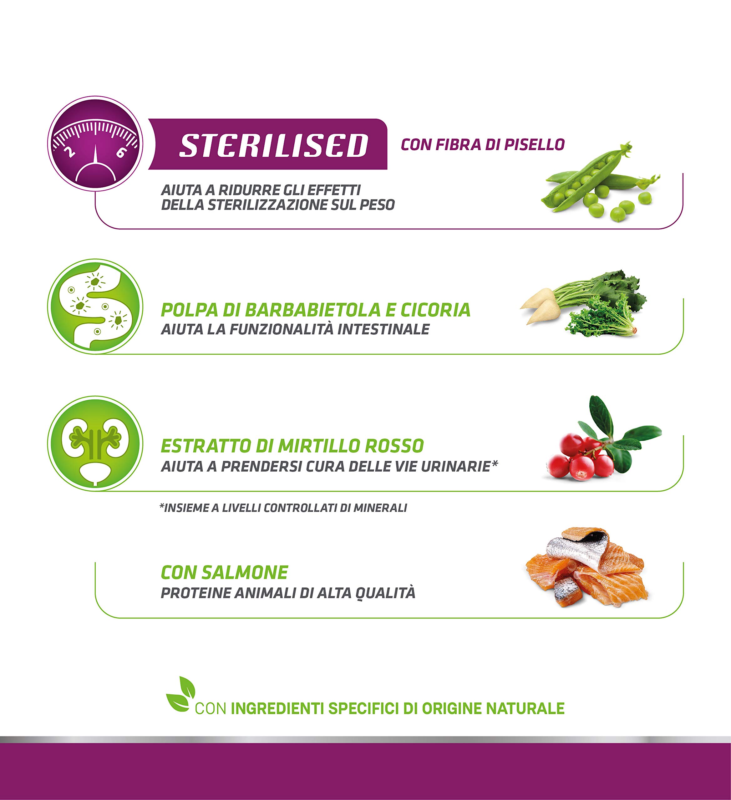 Trainer Natural Sterilised Adult con Salmone e Fibra di Pisello 3 Kg, 3000 Gr