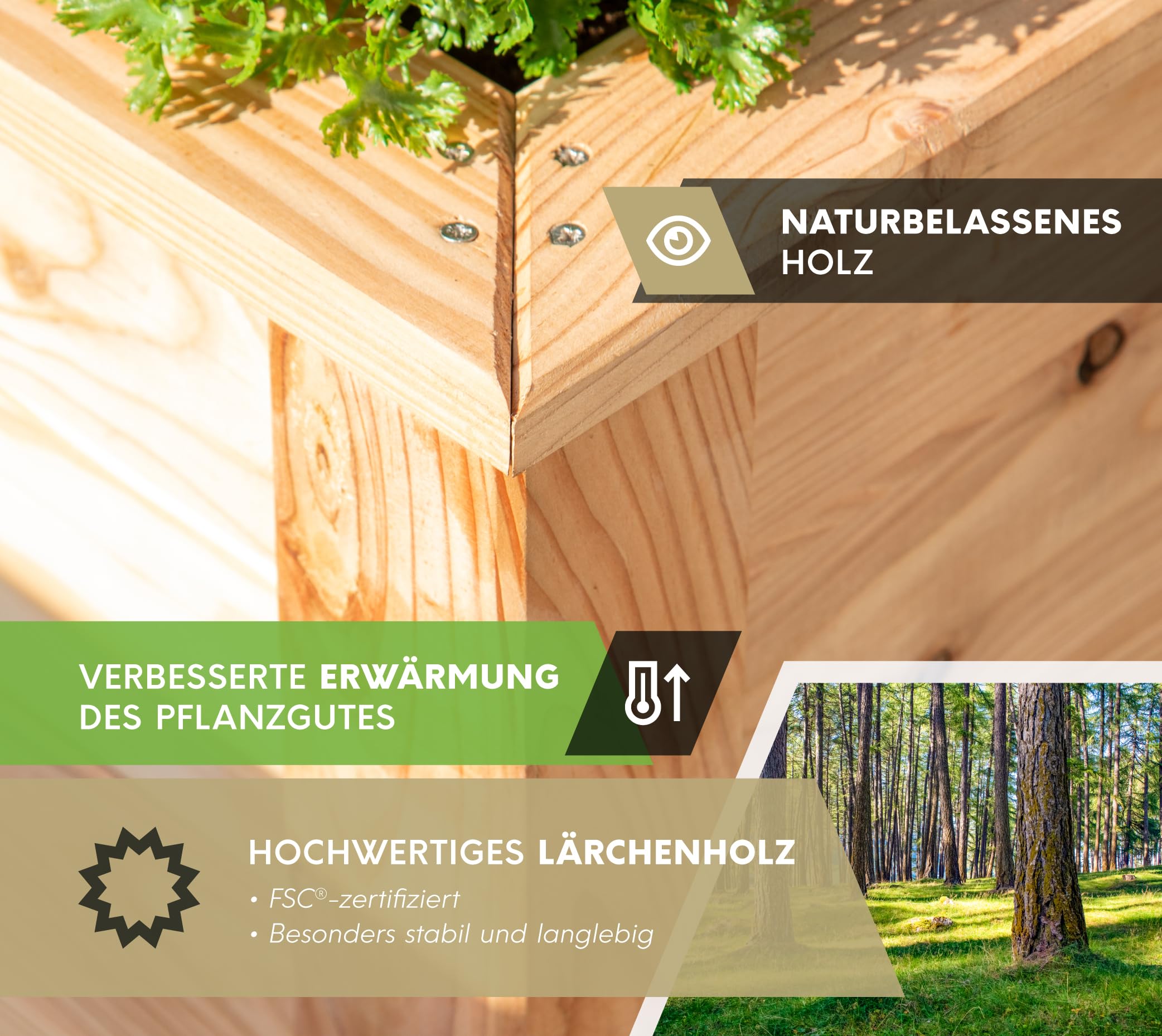 WESTMANN Hochbeet aus Lärchenholz inkl. Aussaatkalender | 100x65x66 cm Natur | Kräuterbeet für den Außenbereich | Holzhochbeet zum Bepflanzen von Gemüse & Kräutern